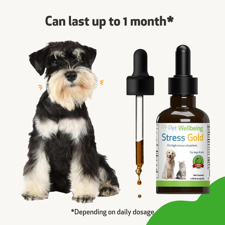 Pet Wellbeing - Stress Gold - for High Stress Situations in Cats & Dogs (2 oz / 59ml)