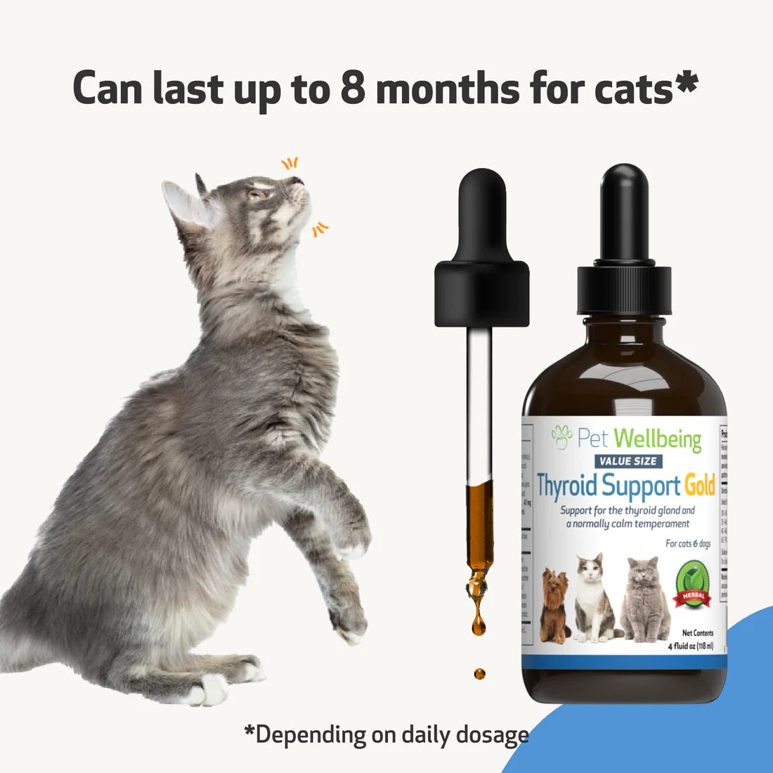 Herbal treatment deals for feline hyperthyroidism