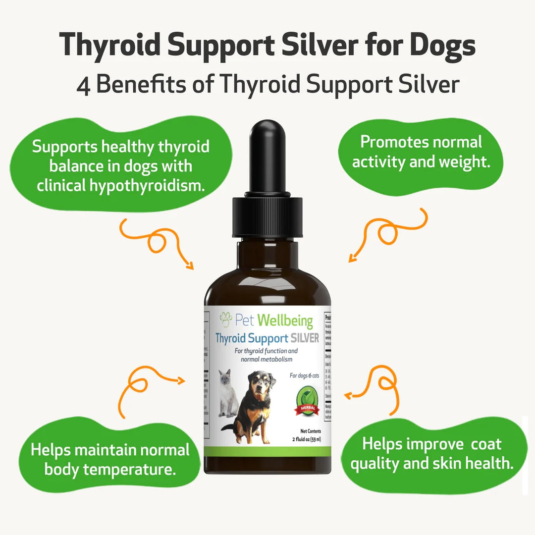 Pet Wellbeing - Thyroid Support Silver - for Low Thyroid in Cats & Dogs (2 oz / 59ml)