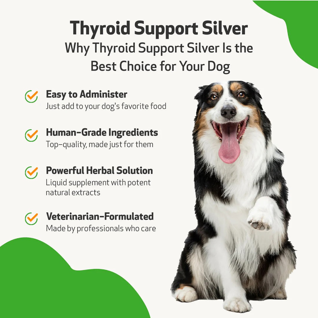 Pet Wellbeing - Thyroid Support Silver - for Low Thyroid in Cats & Dogs (2 oz / 59ml)