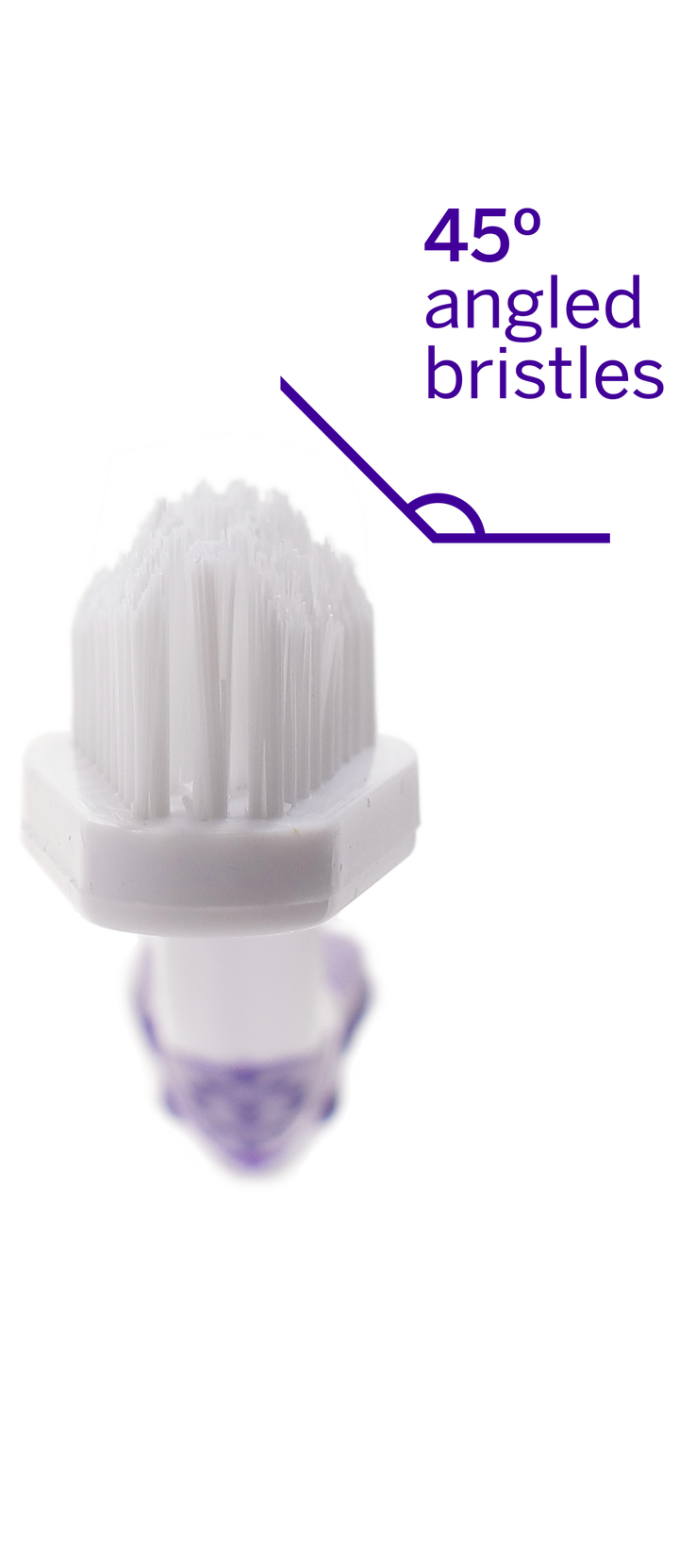 Petsmile Professional Pet Toothbrush - Patented 45° Dual-Ended Brush Head