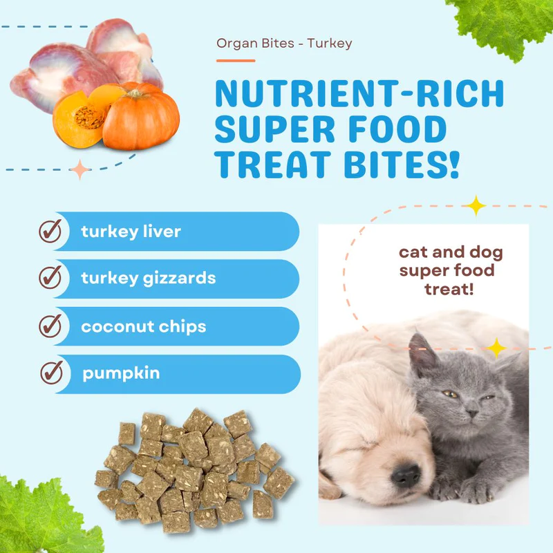 CocoTherapy® Organ Bites! Turkey Organs + Pumpkin + Coconut (85g) - Raw Organ Meat Treat for dogs and cats