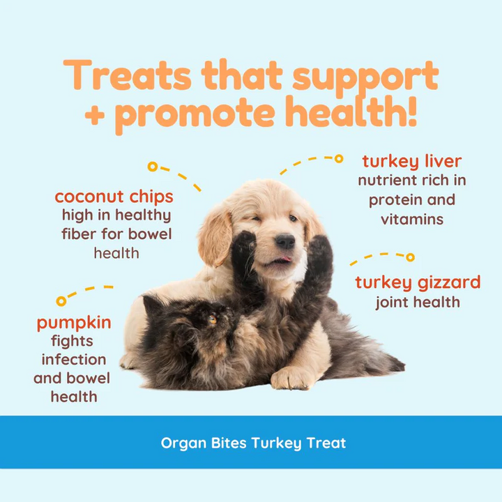 CocoTherapy® Organ Bites! Turkey Organs + Pumpkin + Coconut (85g) - Raw Organ Meat Treat for dogs and cats