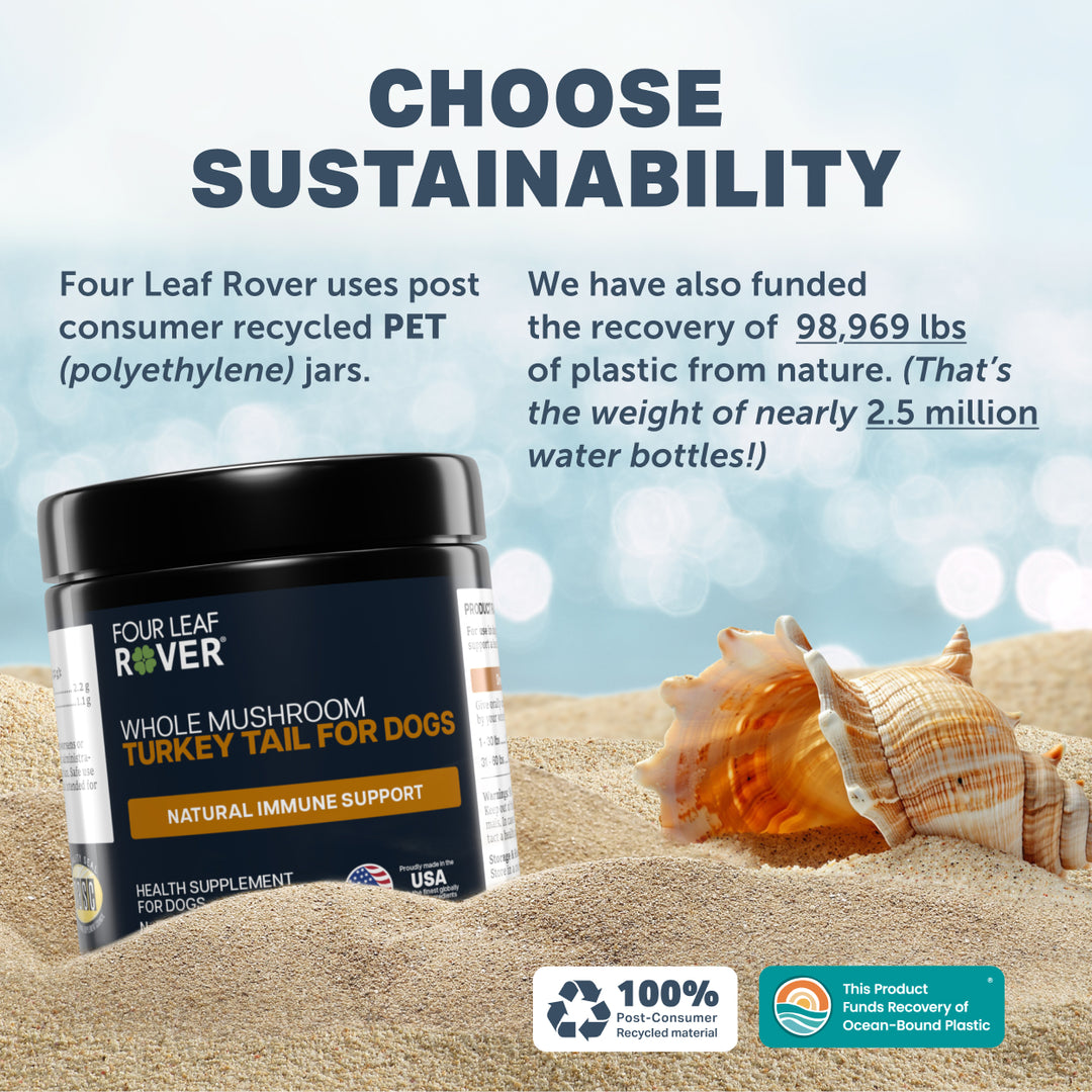 Four Leaf Rover TURKEY TAIL MUSHROOM for Dogs (50g) Whole Mushroom