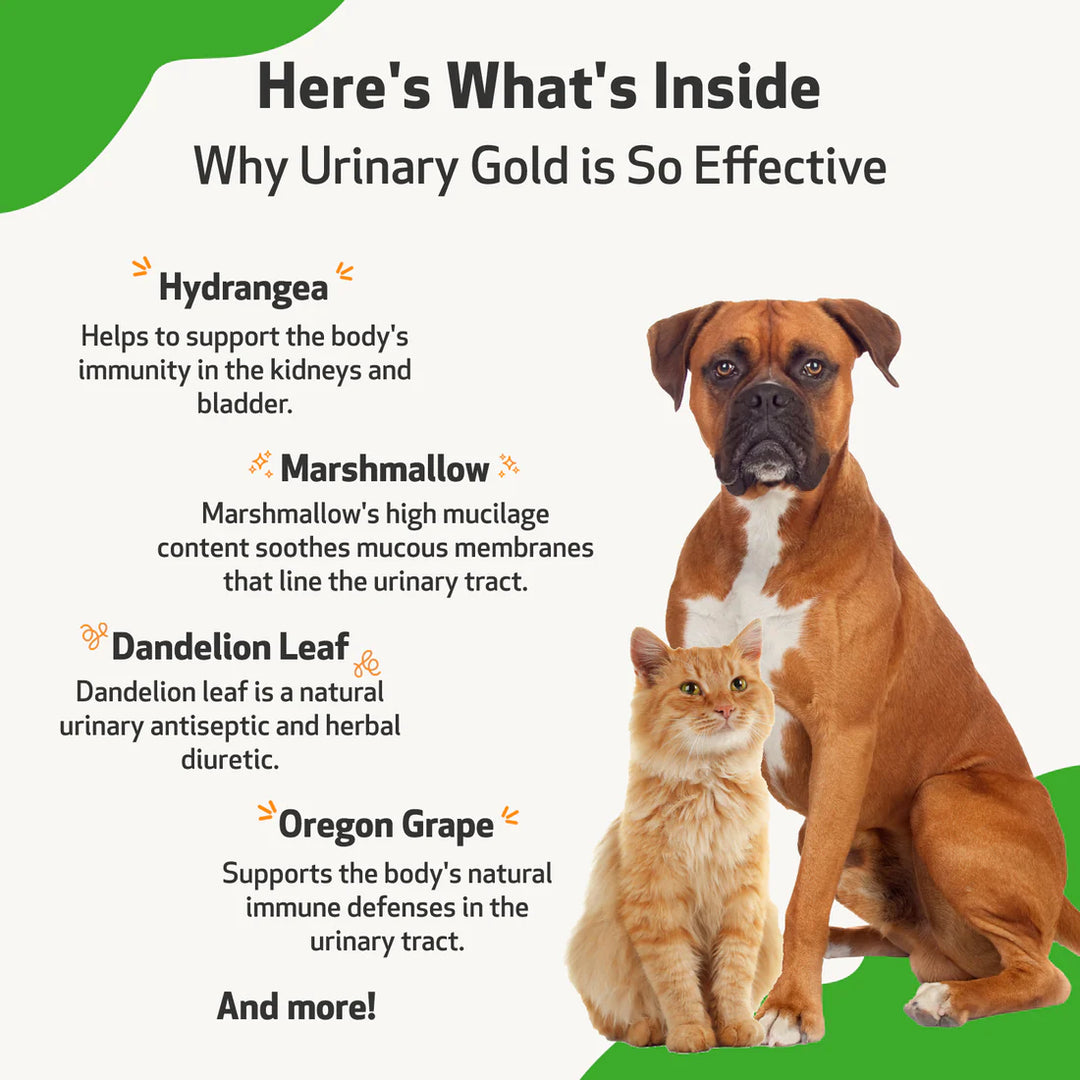 Pet Wellbeing - Urinary Gold - for Canine & Feline Urinary Tract Health