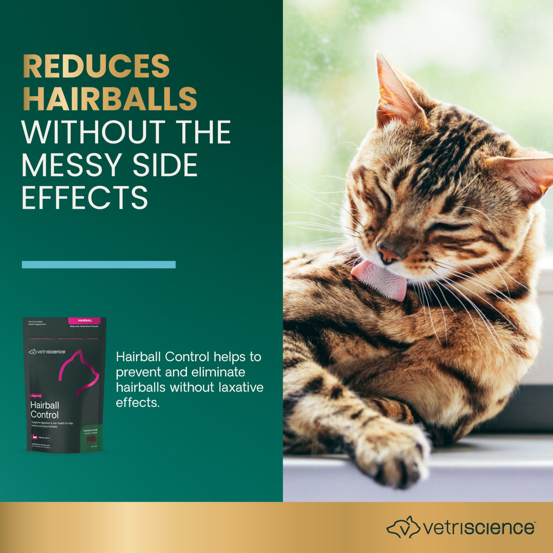[NEW LOOK!] VetriScience Hairball Control Supplement for Cats (60 chews)
