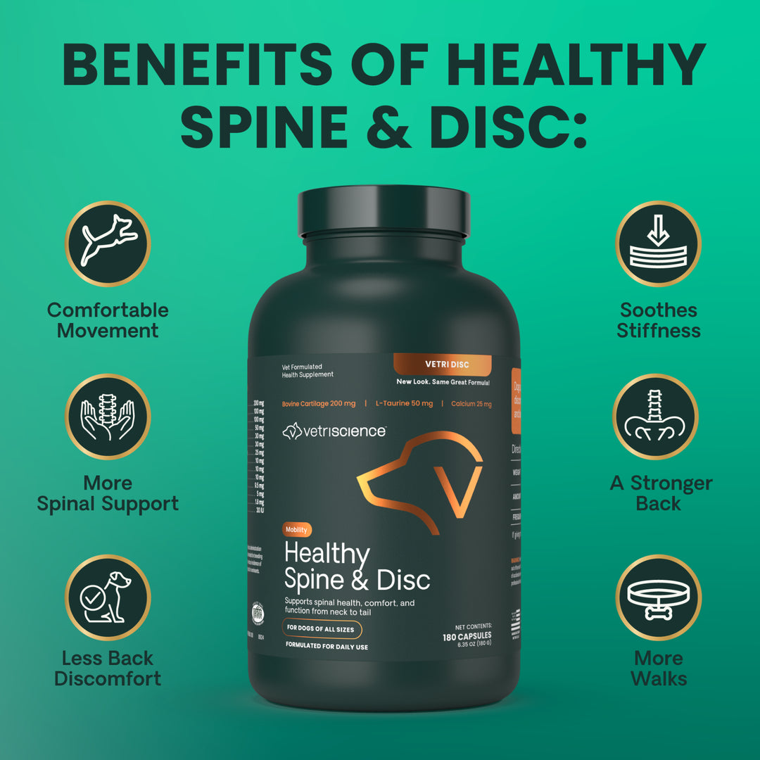 [NEW LOOK!] VetriScience Healthy Spine & Disc, formally known as Vetri Disc Spinal Support Supplement for Dogs (180 capsules)