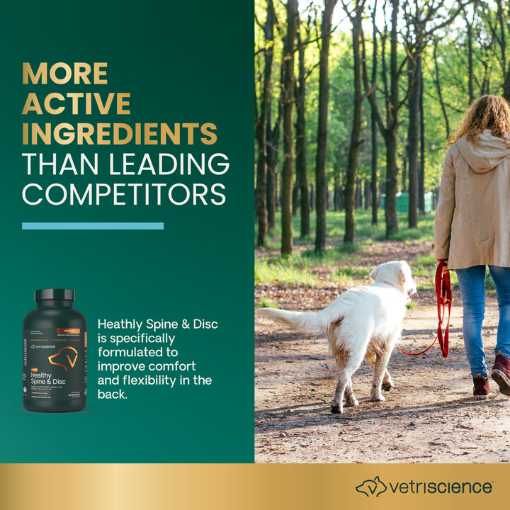 [NEW LOOK!] VetriScience Healthy Spine & Disc, formally known as Vetri Disc Spinal Support Supplement for Dogs (180 capsules)
