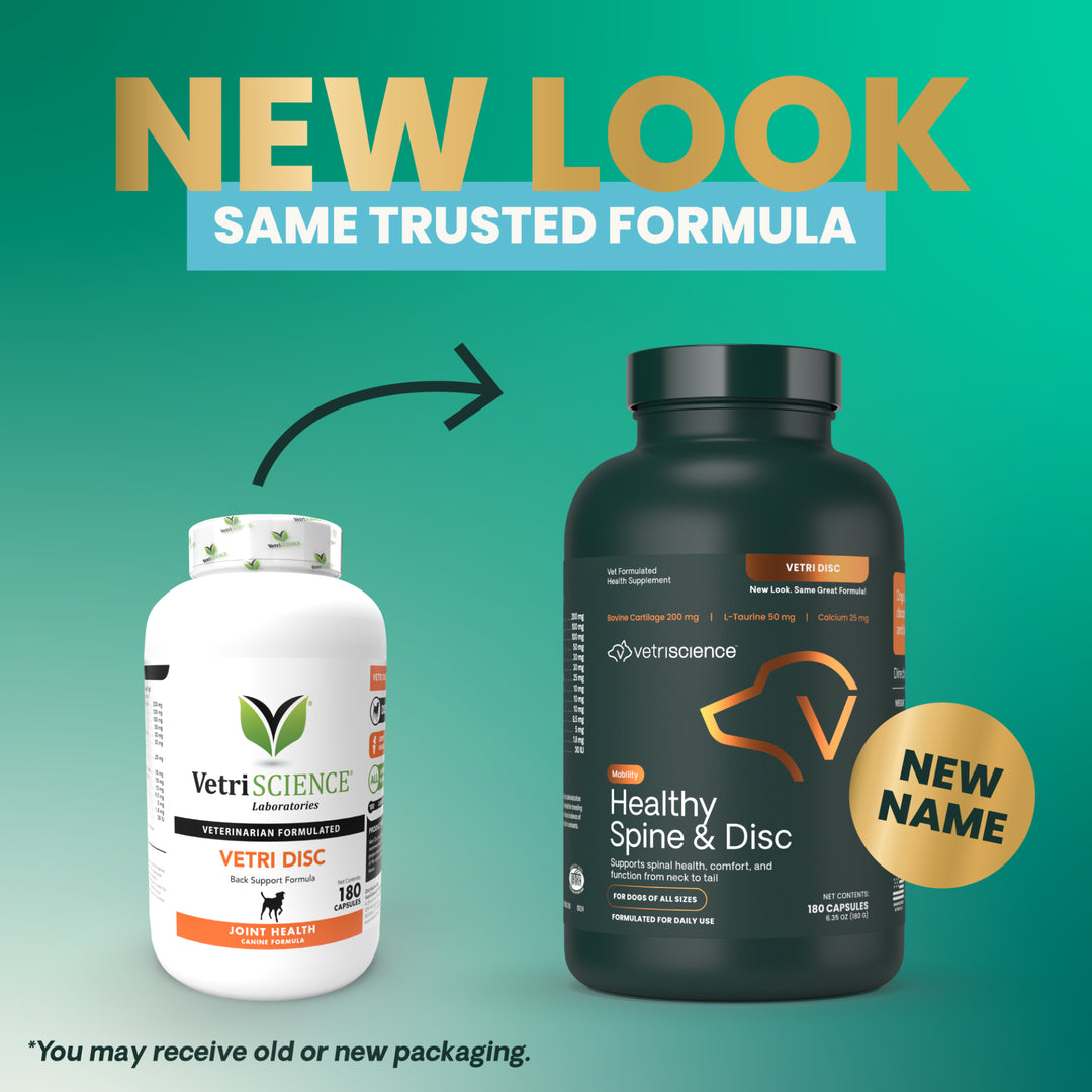 [NEW LOOK!] VetriScience Healthy Spine & Disc, formally known as Vetri Disc Spinal Support Supplement for Dogs (180 capsules)