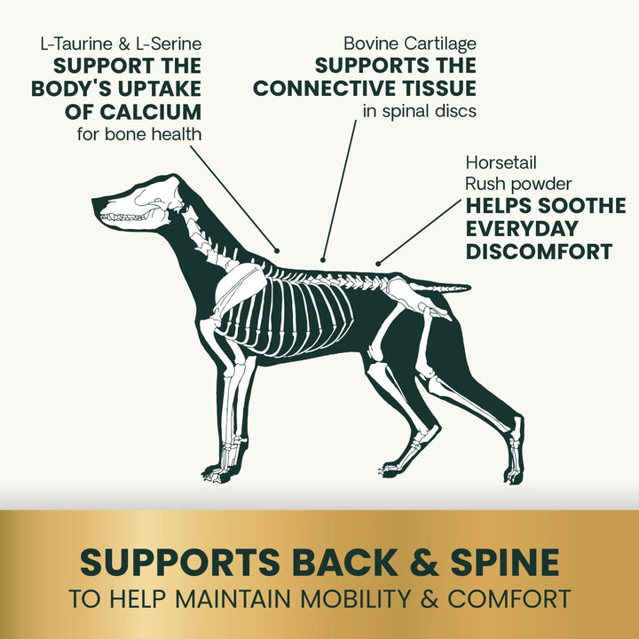 [NEW LOOK!] VetriScience Healthy Spine & Disc, formally known as Vetri Disc Spinal Support Supplement for Dogs (180 capsules)
