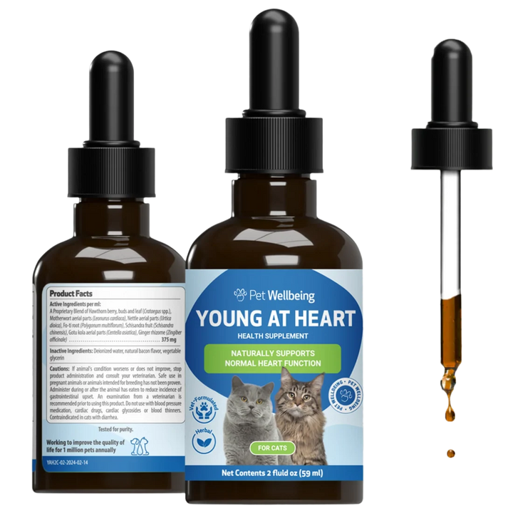 Pet Wellbeing - Young at Heart - for Healthy Heart Maintenance in Cats & Dogs