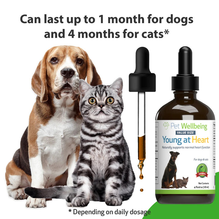 Pet Wellbeing - Young at Heart - for Healthy Heart Maintenance in Cats & Dogs