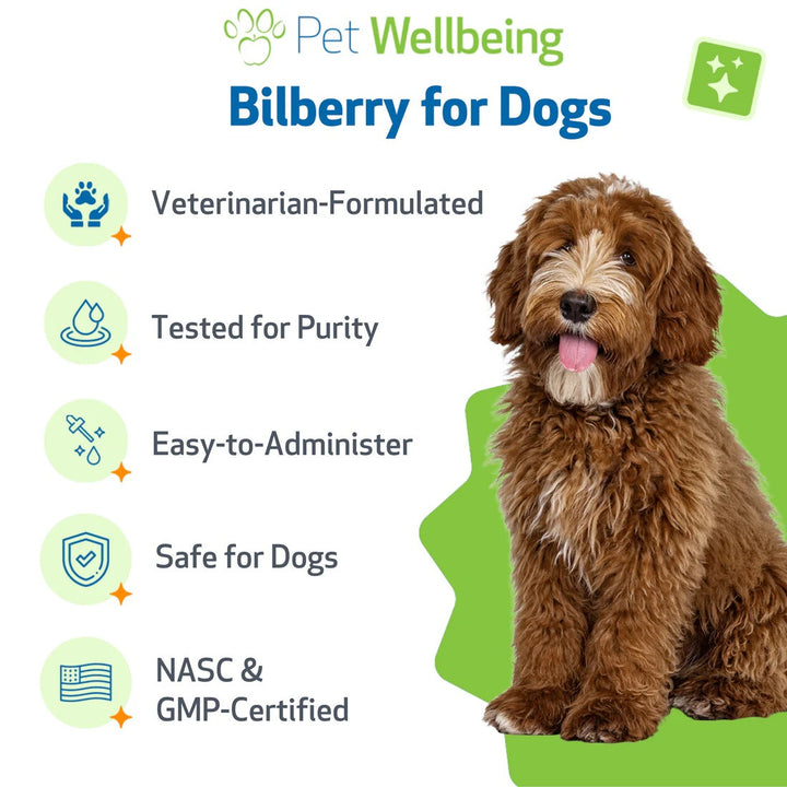 Pet Wellbeing - Bilberry 2oz (Supports Healthy Vision and Capillaries in Dogs)