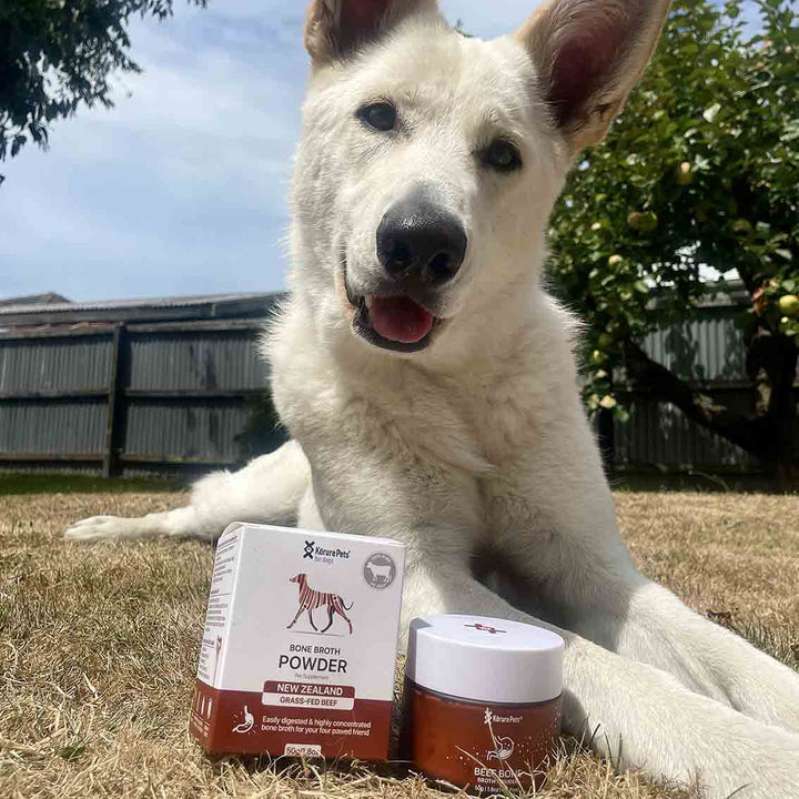 Kōrure Pets Dog Beef Bone Broth - 50g Powder