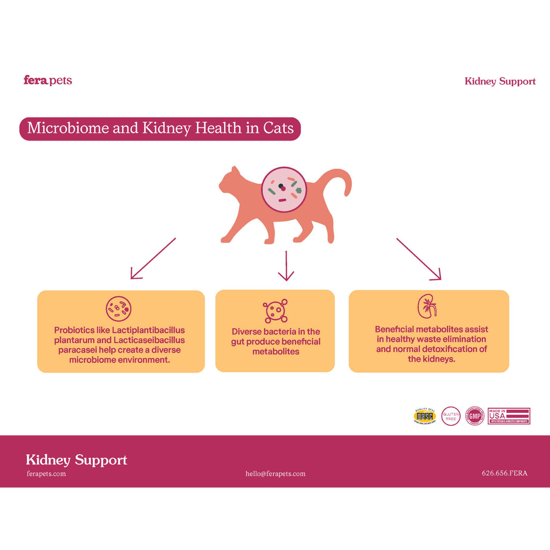 [NEW!] Fera Pets Kidney Support Supplement for Cats (60g)