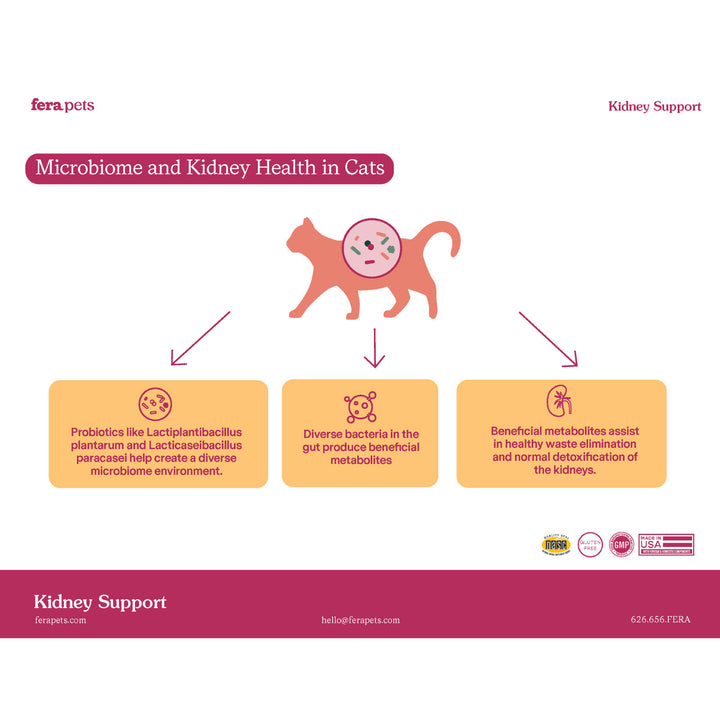 [NEW!] Fera Pets Kidney Support Supplement for Cats (60g)