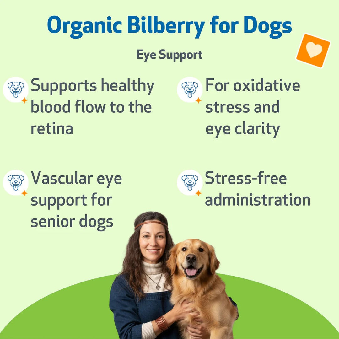 Pet Wellbeing - Bilberry 2oz (Supports Healthy Vision and Capillaries in Dogs)
