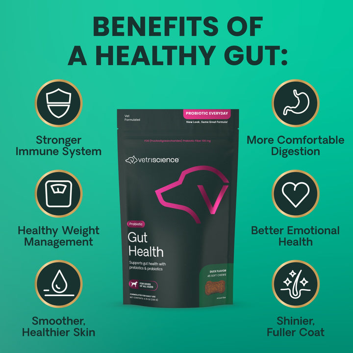 VetriScience Gut Health for Dogs - 45 Duck Flavor Chews (formerly known as Probiotics Everyday for Dogs)