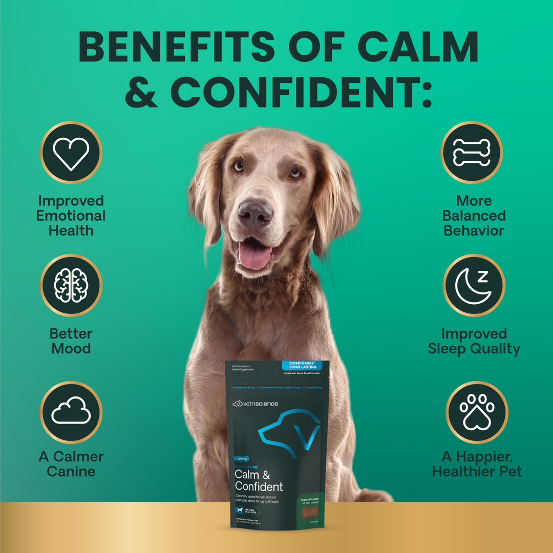 VetriScience® Calm & Confident Long Lasting (formally Composure Long Lasting) Calming Supplement for Dogs (50 chews)