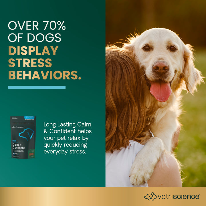VetriScience® Calm & Confident Long Lasting (formally Composure Long Lasting) Calming Supplement for Dogs (50 chews)