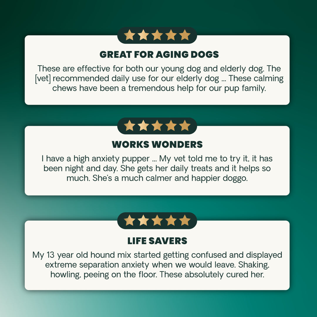 VetriScience® Calm & Confident Long Lasting (formally Composure Long Lasting) Calming Supplement for Dogs (50 chews)