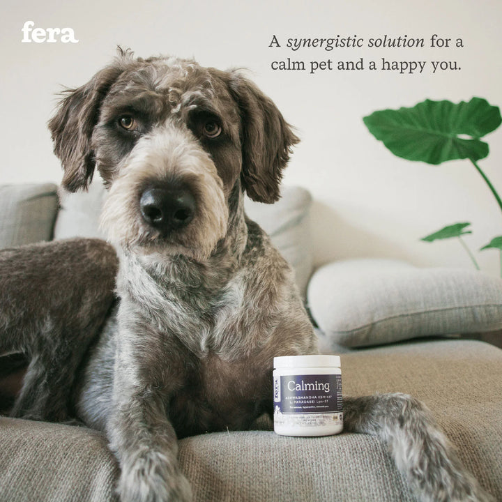 Fera Pet Organics - Calming Support for Dogs and Cats (72g)