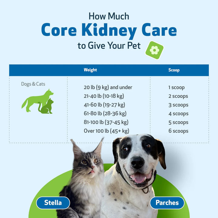 Pet Wellbeing Core Kidney Care (144g) - Daily Phosphate Binder for Cats & Dogs