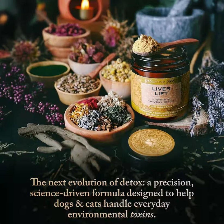 [ NEW! ] Proactive Paws Liver Lift (45g) by Dr Karen Becker