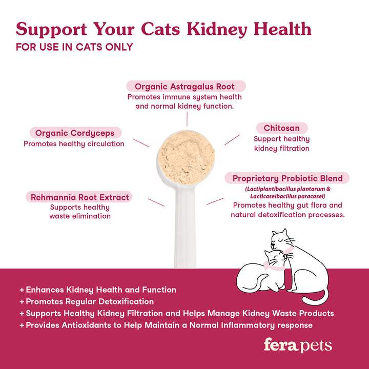[NEW!] Fera Pets Kidney Support Supplement for Cats (60g)