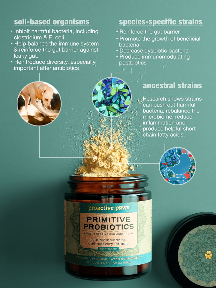 [NEW!] Proactive Paws - Primitive Probiotics (45g) by Dr Karen Becker. Next gen probiotics from wild wolves, canine specific strains, soil based organism