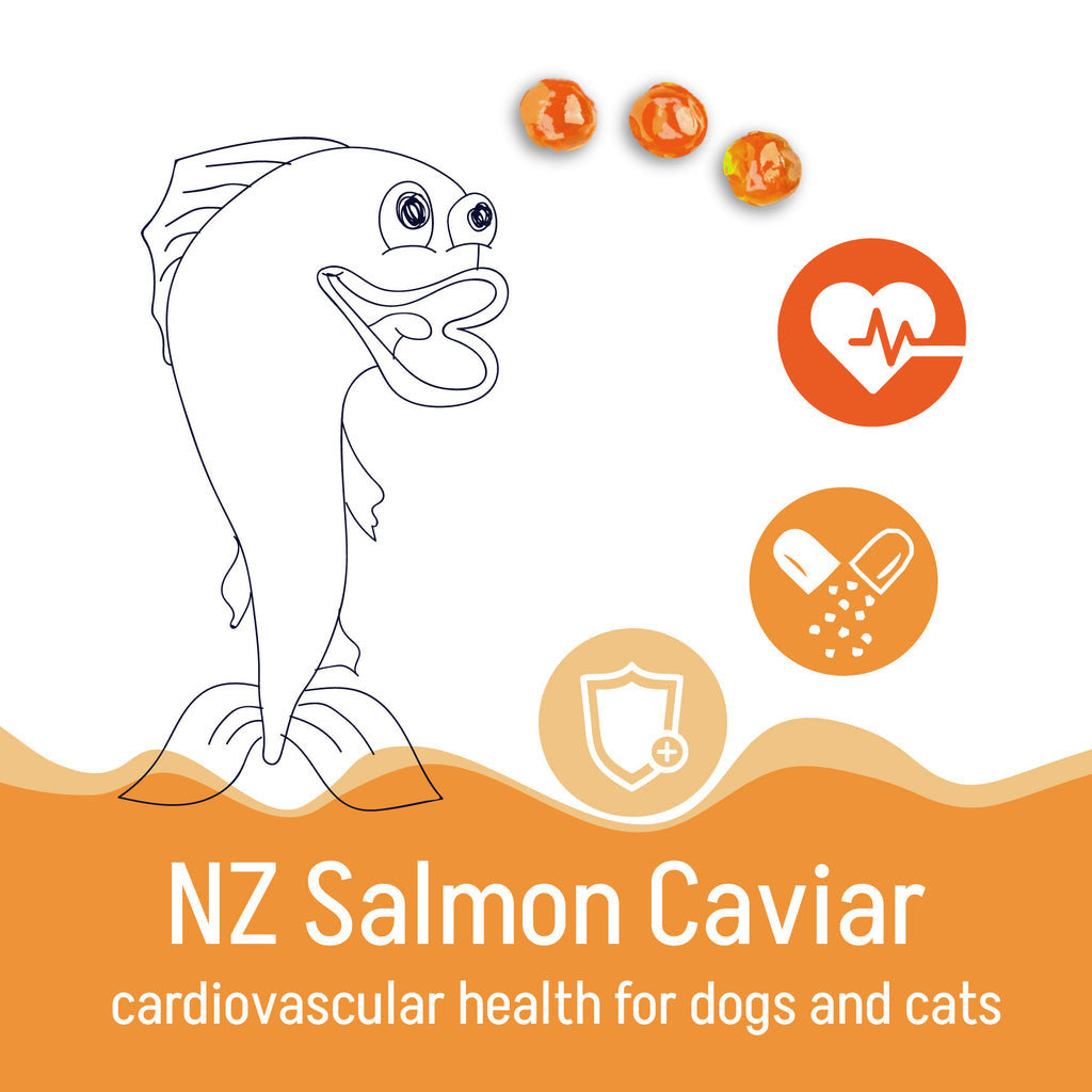 Kōrure Pets Cat Salmon Caviar - 35g Dried Whole Roe