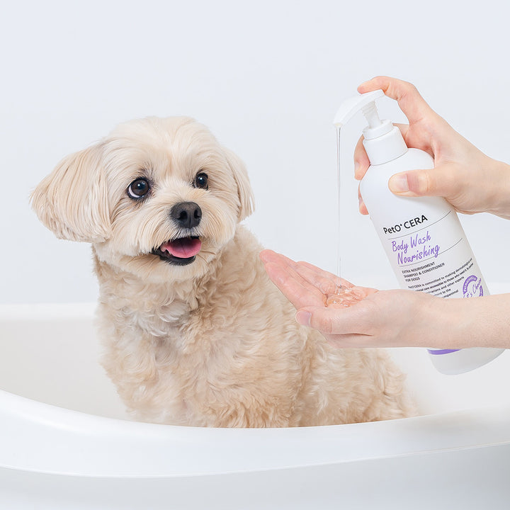 PetO'CERA Body Wash Nourishing 500ml - conditioning-style shampoo enriched with probiotics and peptides.