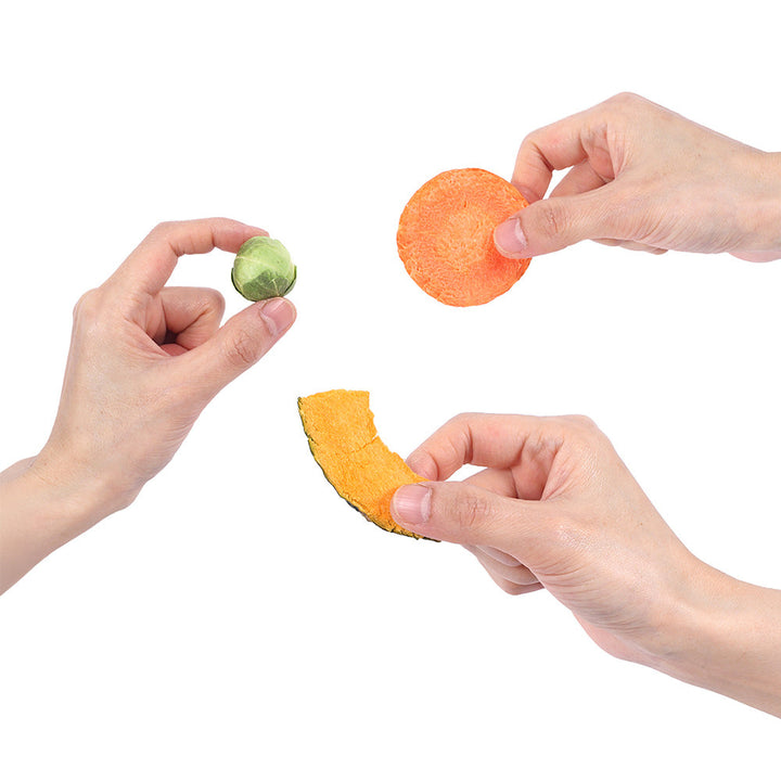 Arlo Kitchen Veggie and Fruit Chips Treats for Dogs (Made in Korea)