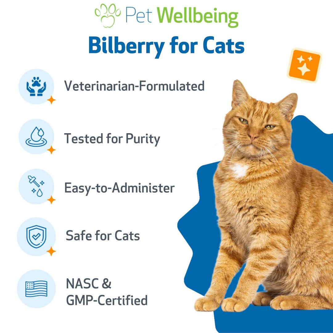 Pet Wellbeing - Bilberry 2oz (Supports Healthy Vision and Capillaries in Dogs)