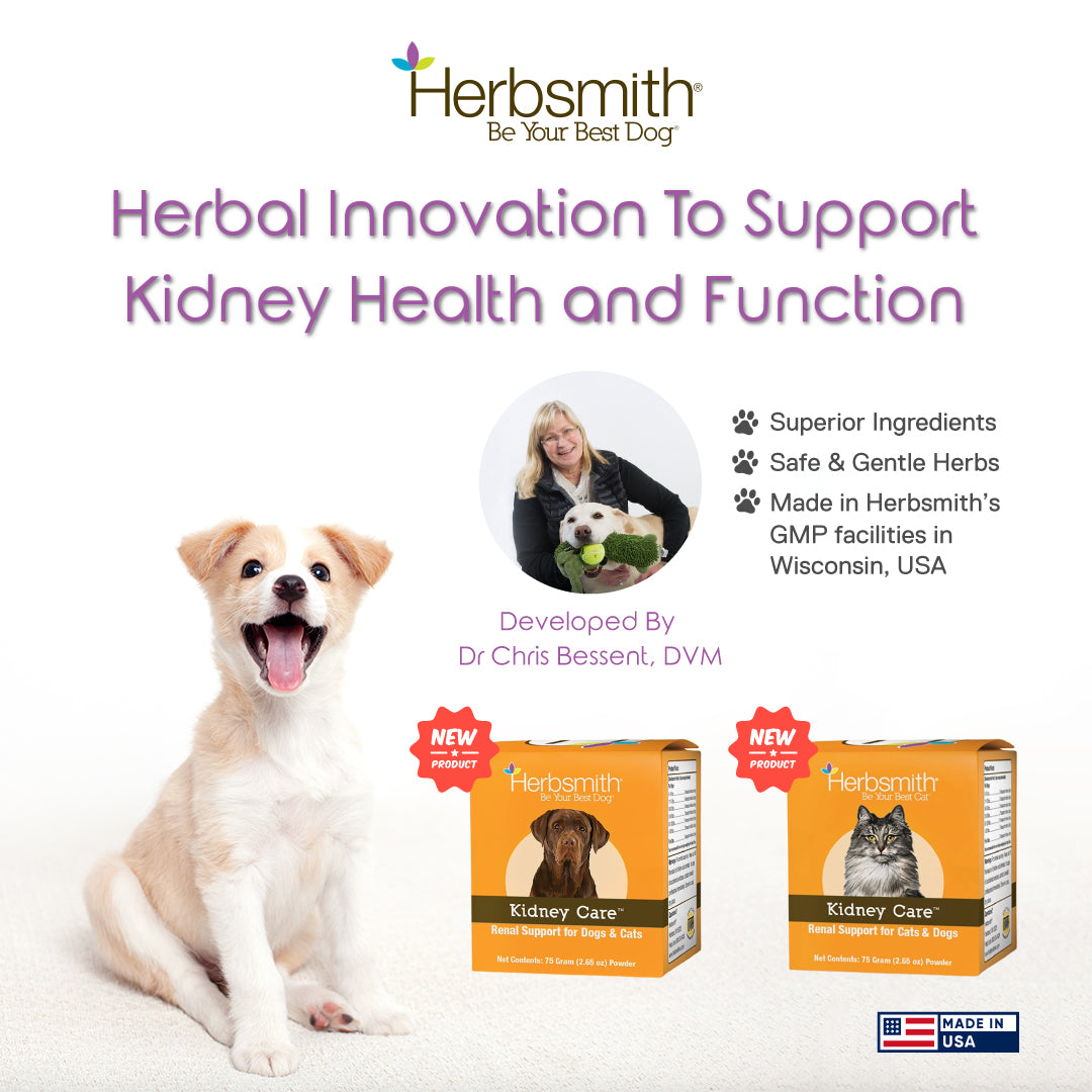 Furry Planet - Pet Wellness And Longevity In Singapore