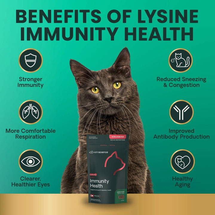 VetriScience - Lysine Immunity Health for Cats (90 chews) - supports immune and respiratory health