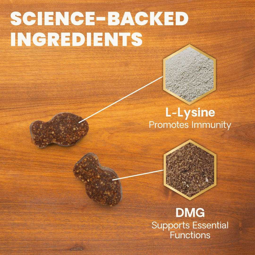 VetriScience - Lysine Immunity Health for Cats (90 chews) - supports immune and respiratory health
