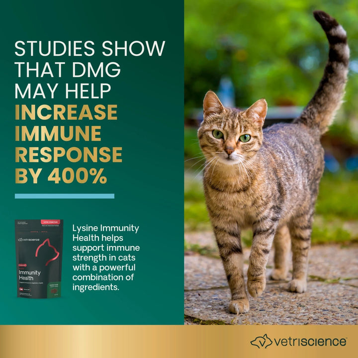 VetriScience - Lysine Immunity Health for Cats (90 chews) - supports immune and respiratory health