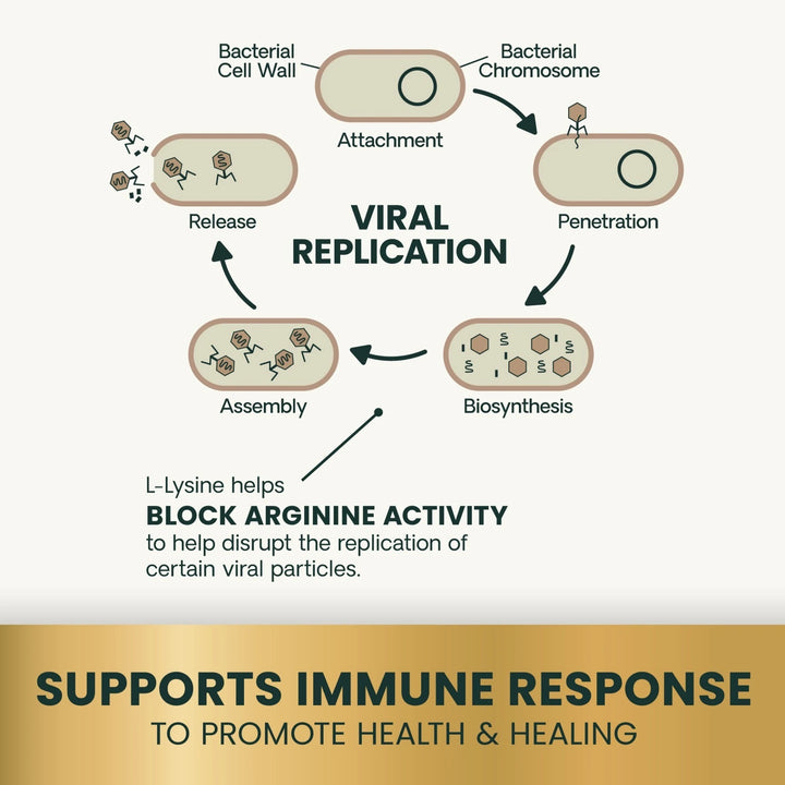 VetriScience - Lysine Immunity Health for Cats (90 chews) - supports immune and respiratory health