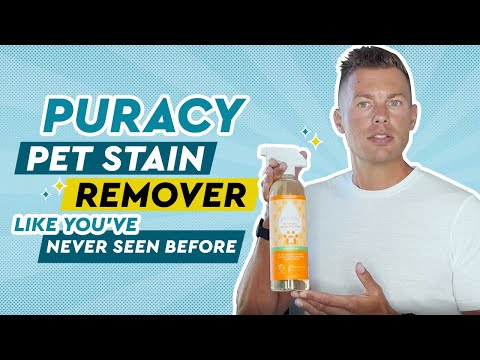 Puracy Pet Stain & Odor Remover (New Formula!) - 739ml