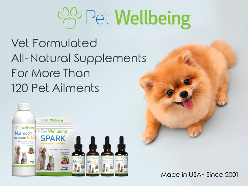 Pet wellbeing outlet spark