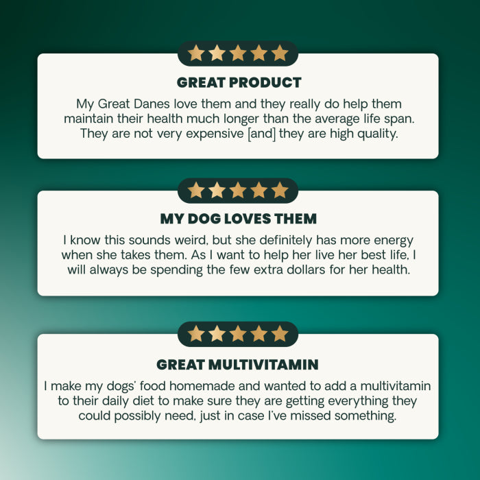 VetriScience SENIOR 27+ Active Health Chewable Tablets for Dog (60 tablets), formally Canine Plus Senior Multivitamins