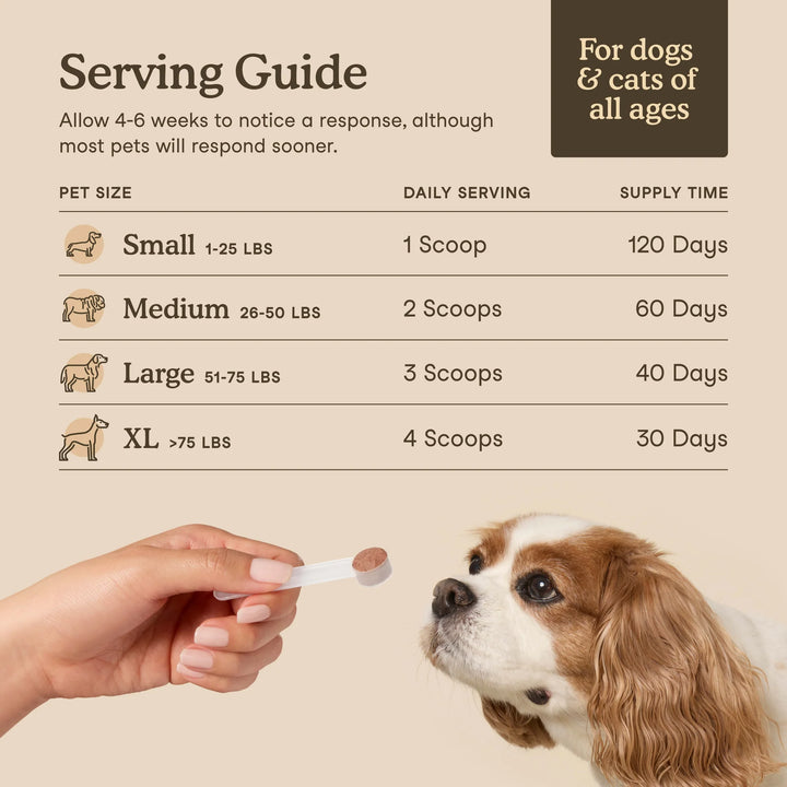 Fera Pets USDA Organic Mushroom Blend for Immune Support (60g)