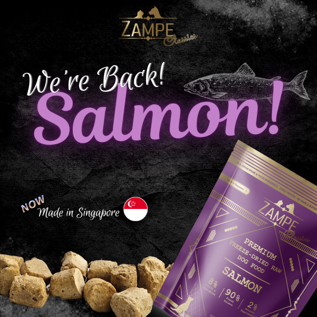 [ Relaunch - Made in SG ] Zampe Pets Freeze Dried Raw Pops - Pork / Beef / Chicken / Duck / Salmon (14.1oz/400g)