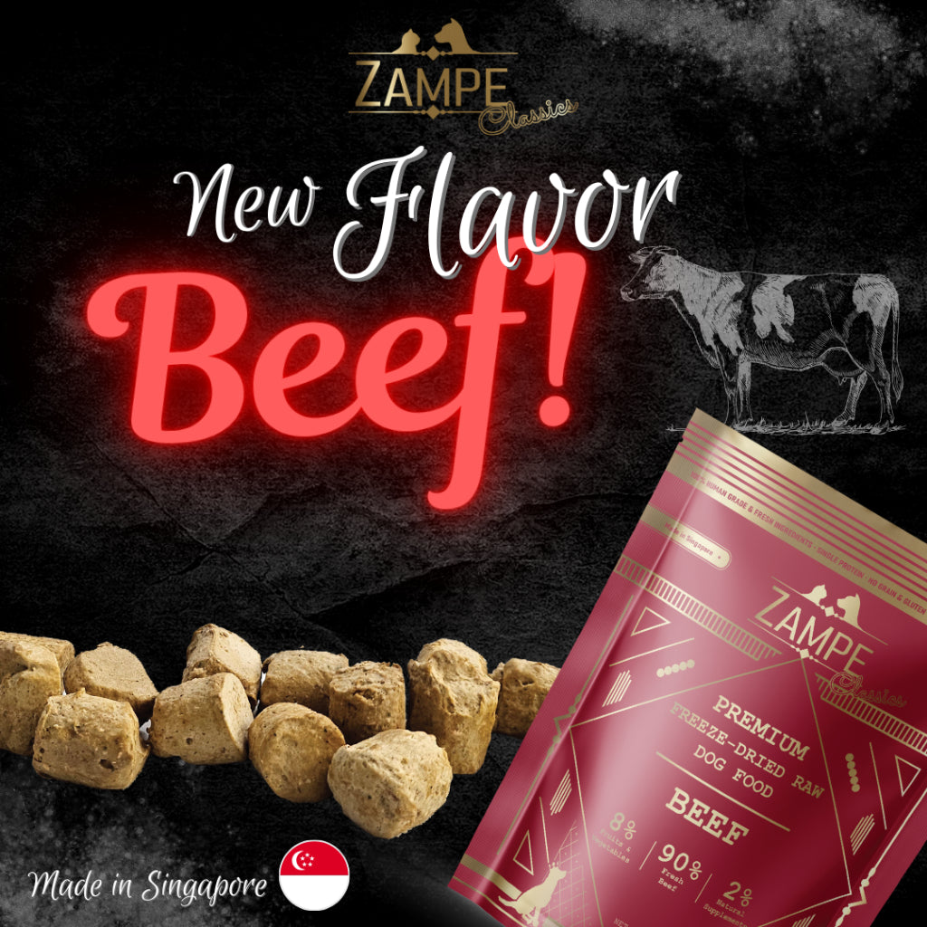 [ Relaunch - Made in SG ] Zampe Pets Freeze Dried Raw Pops - Pork / Beef / Chicken / Duck / Salmon (14.1oz/400g)