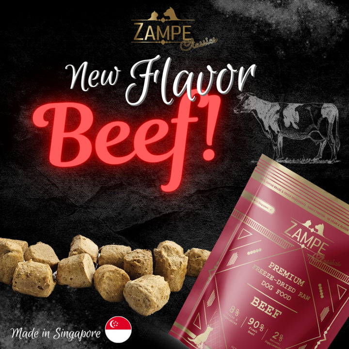 [ Relaunch - Made in SG ] Zampe Pets Freeze Dried Raw Pops - Pork / Beef / Chicken / Duck / Salmon (14.1oz/400g)