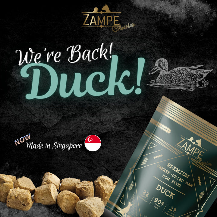 [ Relaunch - Made in SG ] Zampe Pets Freeze Dried Raw Pops - Pork / Beef / Chicken / Duck / Salmon (14.1oz/400g)