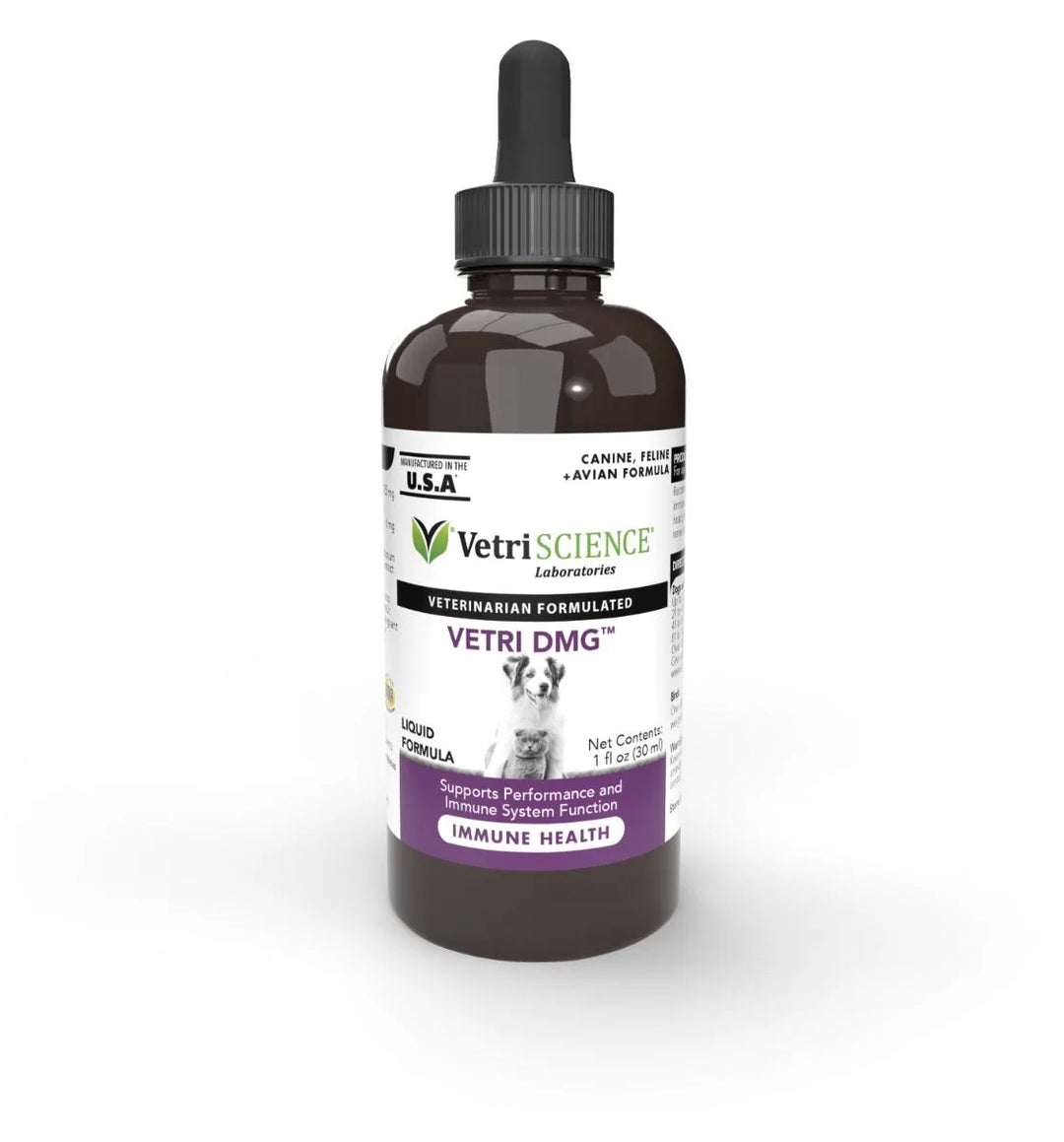 VetriScience® - Vetri DMG™ Liquid - Immune system, liver metabolism, stamina and muscle recovery support