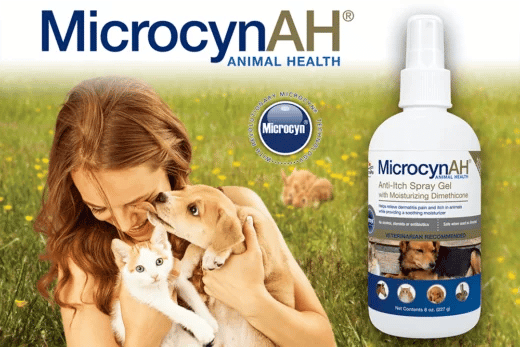 1000402_MicrocynAH_8oz_Anti-Itch_Spray_Gel-520x347