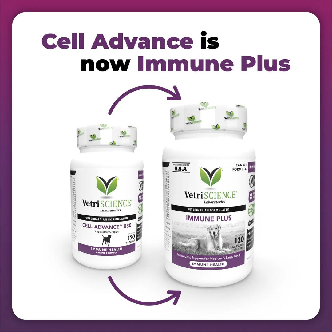 VetriScience® - Cell Advance™ 880/ Immune Plus - Immunity Support for Dogs (120 capsules)